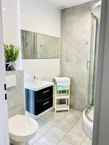a bathroom with a sink and a toilet and a shower at Exclusive Apartments Smolna in Warsaw