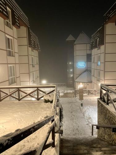 Apartman 33 Kraljevi Čardaci durante el invierno