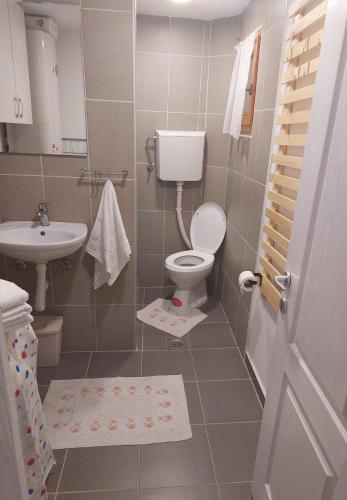 a small bathroom with a toilet and a sink at Udahni prirodu in Raška
