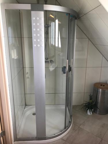 a shower with a glass door in a bathroom at T Huuske tuinappartement met fantastisch uitzicht, nabij Zee in Zonnemaire