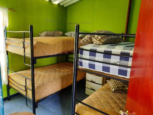 2 łóżka piętrowe w pokoju z zielonymi ścianami w obiekcie Villas Karen w mieście Tonsupa