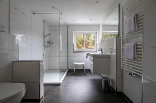 Un baño con ducha, lavabo e inodoro. en Haus Panorama, en Niedersalwey