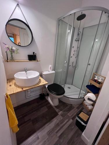 une salle de bain avec un lavabo, des toilettes et une douche dans l'établissement Charmant appartement climatisé aux pieds de la cité, à Carcassonne