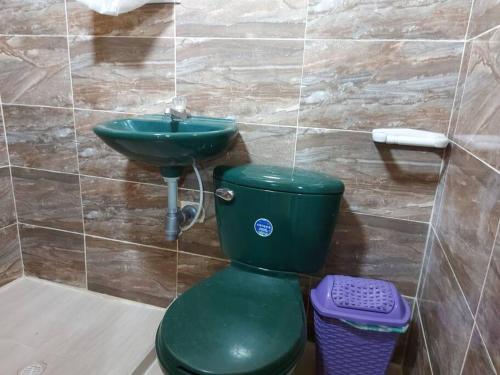 a green toilet in a bathroom with a sink at Finca Agroturística La Sultana in El Espinal