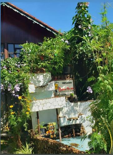 a garden with a grave and some plants at Pousada Bem Te Vi Lumiar in Lumiar