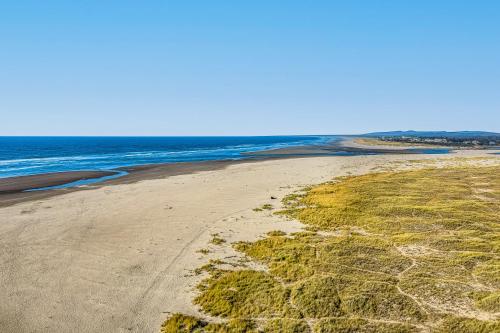 an aerial view of a beach with seaweed at The Sea Lion in Seaside