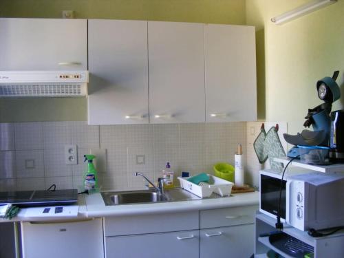 une cuisine avec des armoires blanches, un évier et un micro-ondes dans l'établissement Studio Continental côté jardin, à Vittel