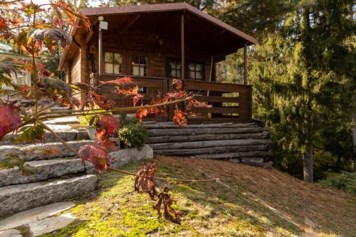 a log cabin with stairs leading to it at Eco-Resort Parco Botanico Fiorlago in Mergozzo