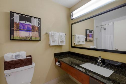 a bathroom with a sink and a mirror at Best Western Plus Wooster Hotel & Conference Center in Wooster