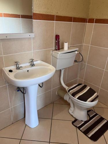 a bathroom with a toilet and a sink at Izinjiki Namacusi Guest Farm in Amsterdam