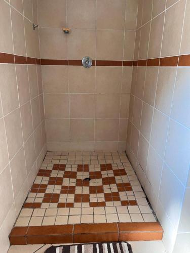 La salle de bains est pourvue d'une douche et d'un sol en damier. dans l'établissement Izinjiki Namacusi Guest Farm, à Amsterdam