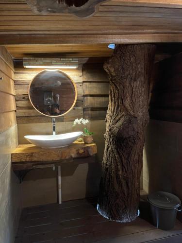 uma casa de banho com um espelho e um lavatório ao lado de uma árvore em The Temak Villa em Pantai Cenang