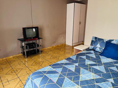 a bedroom with a blue bed and a television at Izinjiki Namacusi Guest House in Amsterdam