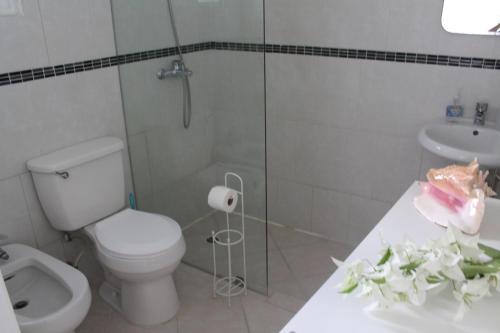 a bathroom with a toilet and a sink and a shower at B&B Villa Luna in Bayahibe