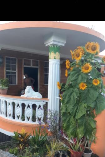 a plant with sunflowers in front of a house at Comfort Haven in Roseau
