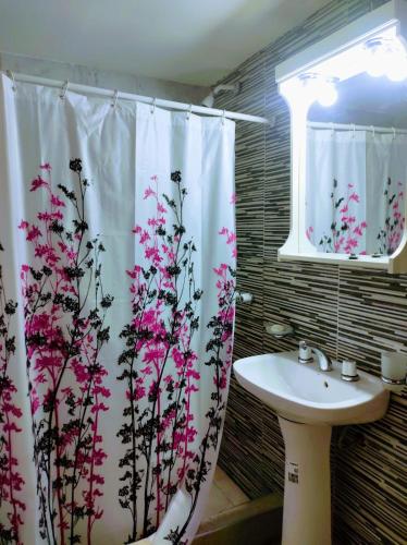 ein Badezimmer mit einem Duschvorhang mit rosa Blumen in der Unterkunft Departamento 1 ambientes amueblado rafael calzada zona sur in Rafael Calzada