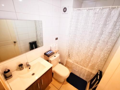 een badkamer met een toilet, een wastafel en een douche bij Departamento central Concepción in Concepción