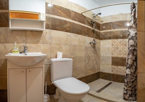 a bathroom with a toilet and a sink and a shower at Wakacyjny Dom Dawidówka in Wisła