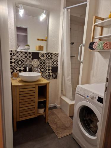 a bathroom with a sink and a washing machine at Appartement rénové proche de Luz Saint Sauveur 1chambre et 1 coin cabine in Luz-Saint-Sauveur