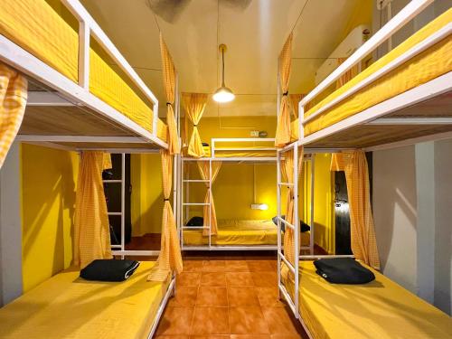 a room with bunk beds with yellow walls at Whoopers Hostel Palolem in Palolem