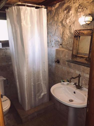 a bathroom with a shower curtain and a sink at Helydorea zen BED& BREAKFAST in Synikia Mesi Trikalon