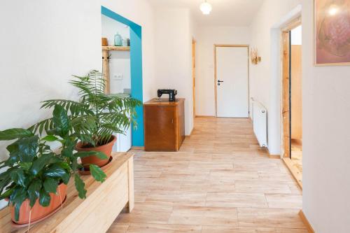 a corridor with potted plants in a room at Apartament Latynoski z ogrodem - Dream Apart in Ustroń