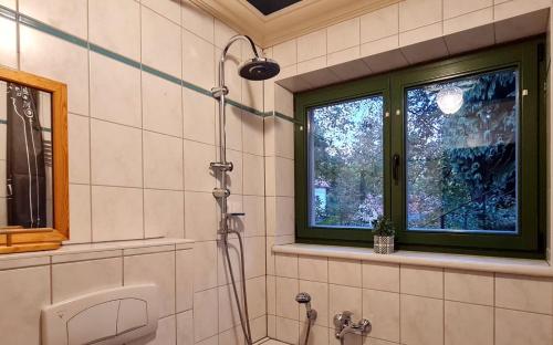 La salle de bains est pourvue d'une douche et d'une fenêtre. dans l'établissement Art-House Kurort Rathen, à Rathen