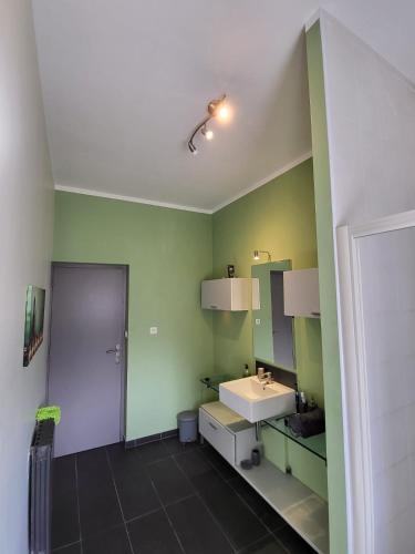 La salle de bains verte est pourvue d'un lavabo et d'un miroir. dans l'établissement Grande Maison meublée tout équipé Wifi, Télé, Billard - Demeure de 196 m2 à Tain l'hermitage - 5 Chambres - 17 Couchages, à Tournon-sur-Rhône