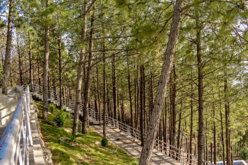 a walkway through a forest with trees at The Point by Roomy, Thandiani in Abbottabad