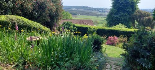 a garden with yellow flowers and a hedge at King's Hill in Hilton