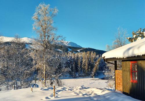 a snow covered cabin with trees and mountains in the background at Trysil Hyttegrend in Trysil