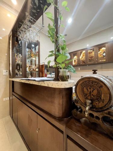 a bar in a room with a counter with a plant at Elysinam Boutique Hotel Ha Long in Ha Long