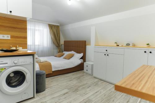 a bedroom with a bed and a washing machine at Bella House in Craiova