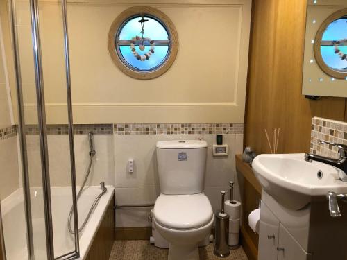 a bathroom with a toilet and a sink at Willow - Cottage on the River, Luxury Houseboat in Little Baddow