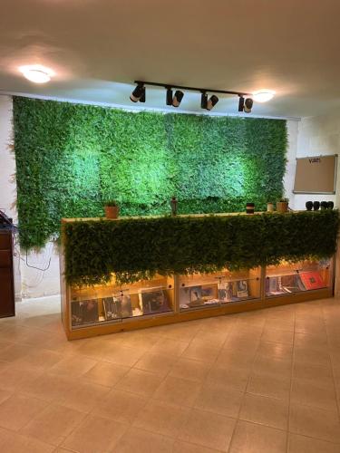 a green wall with plants on it in a room at Blue Vision Diving Hotel in Marsa Alam City