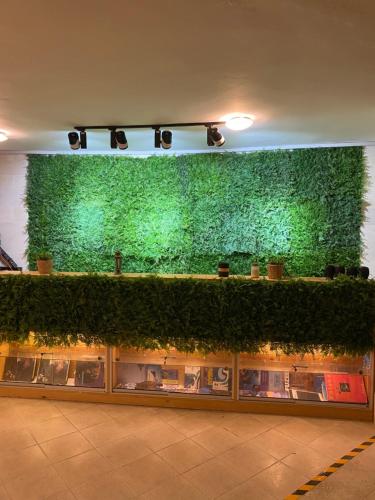 a green wall with plants on it in a building at Blue Vision Diving Hotel in Marsa Alam City