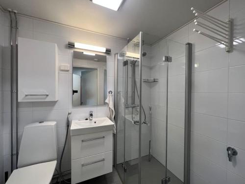 a bathroom with a toilet and a sink and a shower at Studiohuoneisto Liisankatu in Lappeenranta