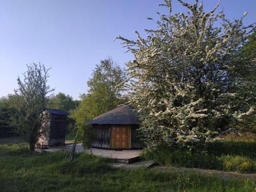 a small cabin in a field with a tree at Le Bois Davy in Le Thoureil
