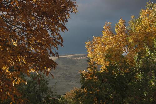  Zove Rural Cottage with garden views -  Room  picture :   Shower    Hairdryer    Iron                           