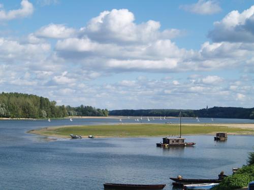 a body of water with boats and birds on the shore at Le Bois Davy in Le Thoureil