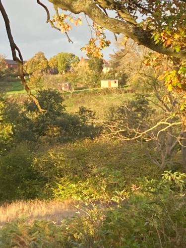 a field with trees and a house on a hill at The Dragon's Hut with cozy logburner in Wrexham