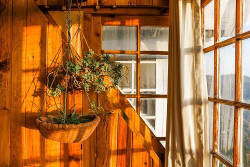 Nathia GaliにあるGali's End By Roomy, Kalabagh Nathiagaliのギャラリーの写真
