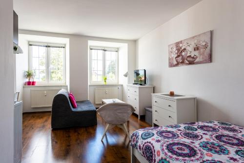 1 dormitorio con 1 cama y 1 silla en Apartmán Hartmanice, en Sušice