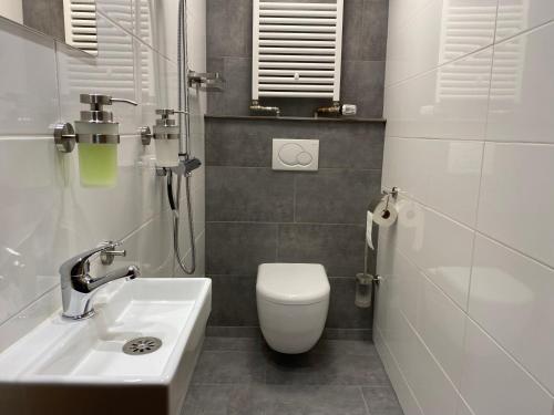 a bathroom with a toilet and a sink at Boshuisje in Enschede