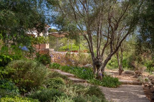 a garden with a stone wall and a tree at Agroturismo Son Siurana in Alcudia