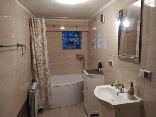 a bathroom with a sink and a tub and a shower at Apartament KARINA 2 in Tylicz