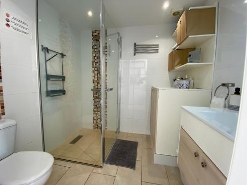 ein Bad mit einer Dusche, einem WC und einem Waschbecken in der Unterkunft Apartamento relax Tauro in Mogán