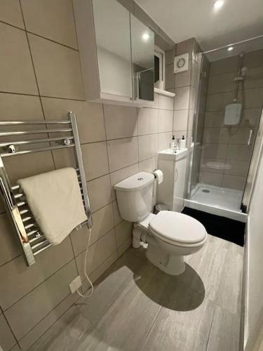 a small bathroom with a toilet and a shower at Lovely 1 Bedroom Apartment - Maida Vale London in London