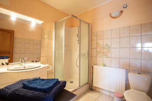 a bathroom with a shower and a sink and a toilet at La Durance - 1 chambre Terrasse et Jardin in Saint-André-dʼEmbrun
