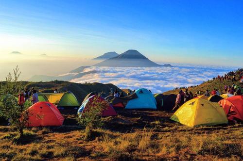 a group of tents on a hill with a view of a mountain at Batur Sunset Sunrise camping in Baturaja